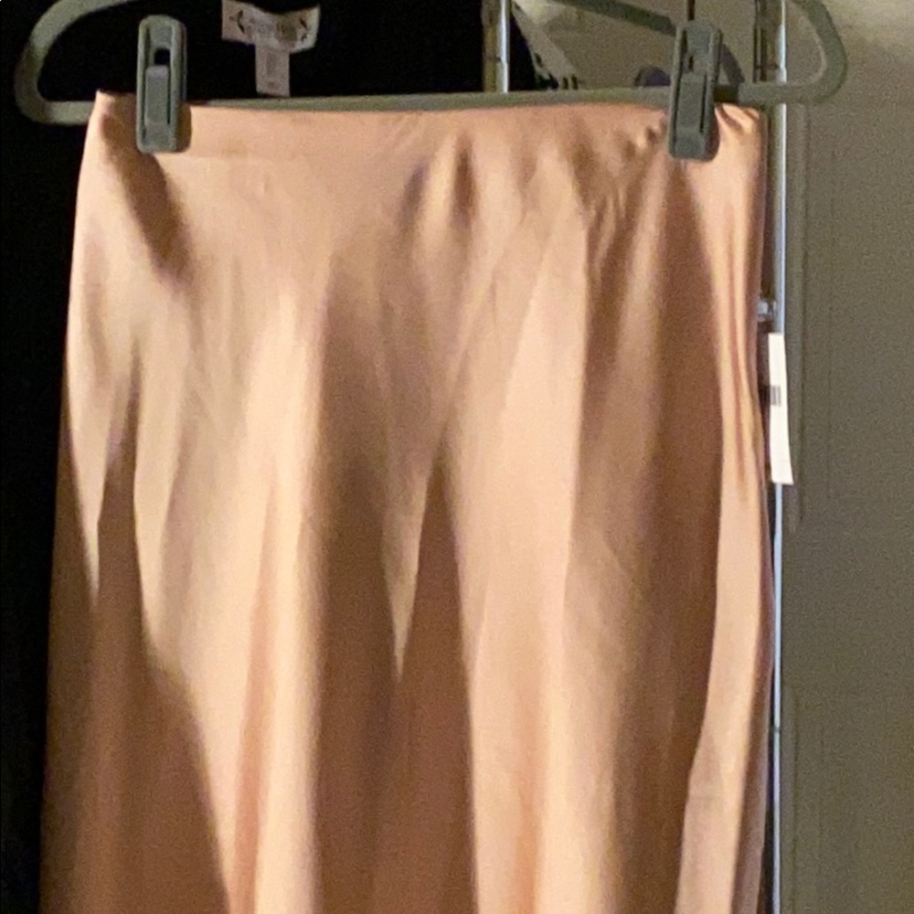 New with tags, Blush pink satin skirt. - Picture 3 of 9